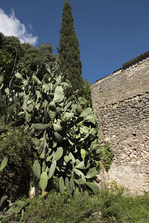 White Jasmine Cottage Άνω Κορακιάνα Εξωτερικό φωτογραφία